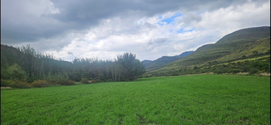 4 Bedroom Property for Sale in Lady Grey Eastern Cape